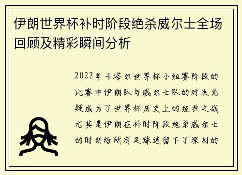 伊朗世界杯补时阶段绝杀威尔士全场回顾及精彩瞬间分析