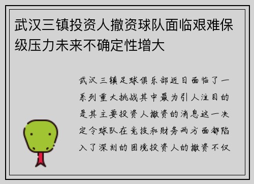 武汉三镇投资人撤资球队面临艰难保级压力未来不确定性增大
